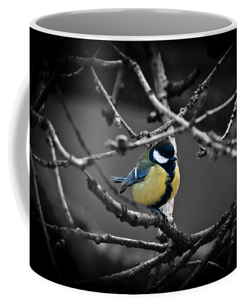 Chris Coffee Mug featuring the photograph Selective Bird by Chris Boulton