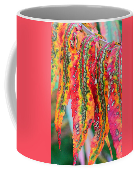 Sumac. Leaves Coffee Mug featuring the photograph Sensuous Sumac by Doris Potter