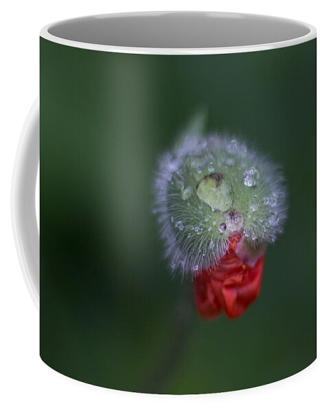 Poppy Coffee Mug featuring the photograph Sequel by Jakub Sisak