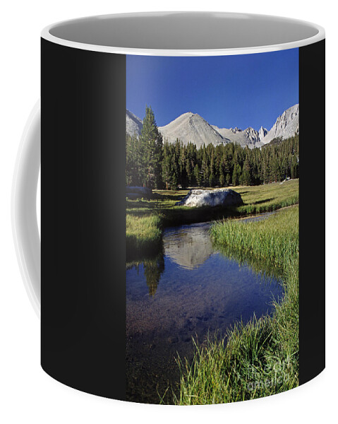 Craig Lovell Coffee Mug featuring the photograph Sequoia-np-7-4 by Craig Lovell