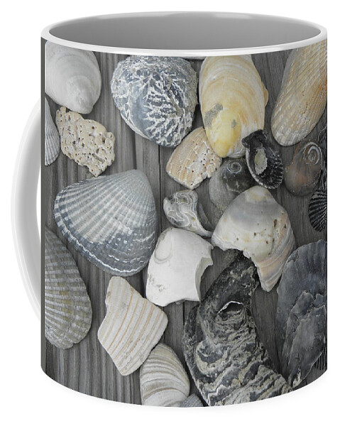 Sea Shells Coffee Mug featuring the photograph Shells Shells Shells by Kim Galluzzo