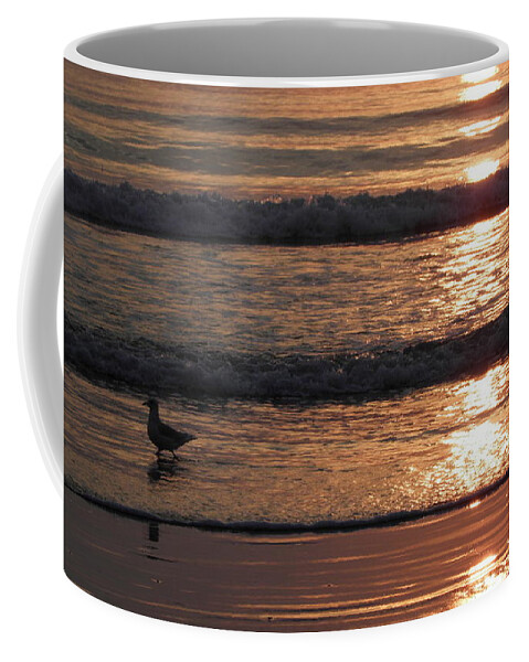 Sunrise Coffee Mug featuring the photograph Shoreline Reflections by Kim Galluzzo