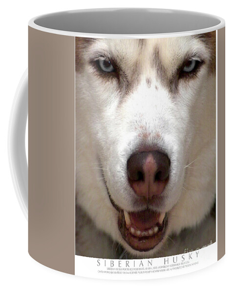Dog Coffee Mug featuring the photograph Siberian Husky by Kimberly Blom-Roemer
