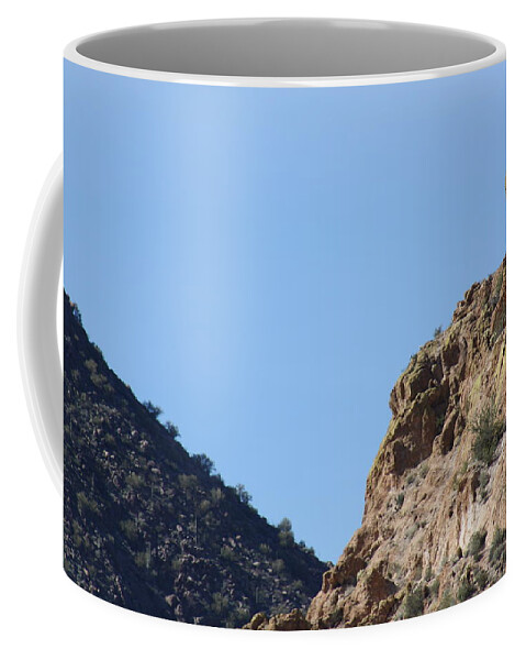 Sagouro Coffee Mug featuring the photograph Side by Side but different by Kim Galluzzo Wozniak