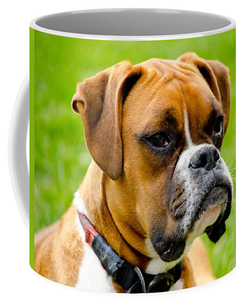 Boxer Dog Coffee Mug featuring the photograph Sidney The Boxer by Chris Thaxter