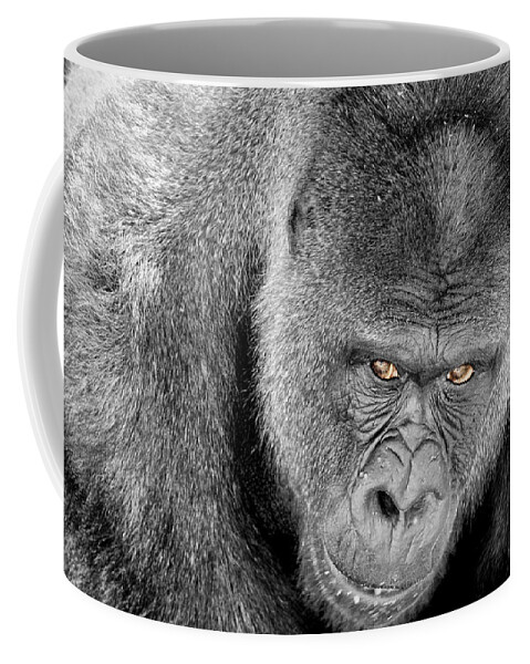 Ape Coffee Mug featuring the photograph Silverback Staredown by Jason Politte