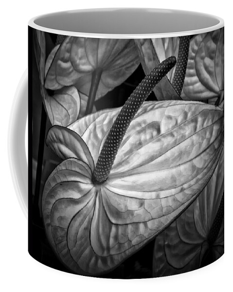 Anthurium Coffee Mug featuring the photograph Silvery sheen by Shirley Mitchell