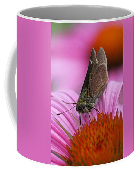 Moth Coffee Mug featuring the photograph Skipper Moth Macro Photography by Juergen Roth