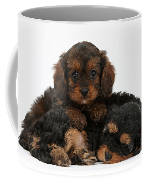 Dog Coffee Mug featuring the photograph Sleepy Cavapoo Pups by Mark Taylor