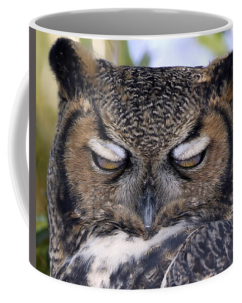 Landscape Coffee Mug featuring the photograph Sleepy owl by John T Humphrey