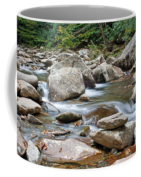 Great Smoky Mountains Coffee Mug featuring the photograph Smoky Mountain Streams by Angie Schutt