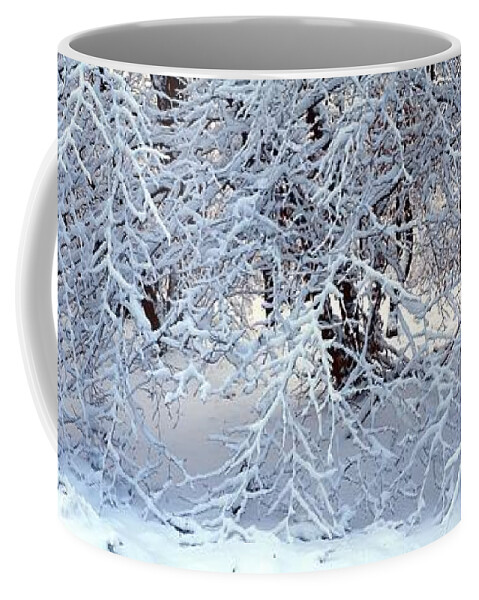 Nature Coffee Mug featuring the photograph Snow covered branches by Ulrich Kunst And Bettina Scheidulin