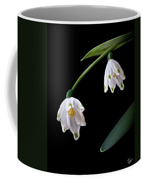 Flower Coffee Mug featuring the photograph Snow Drops by Endre Balogh