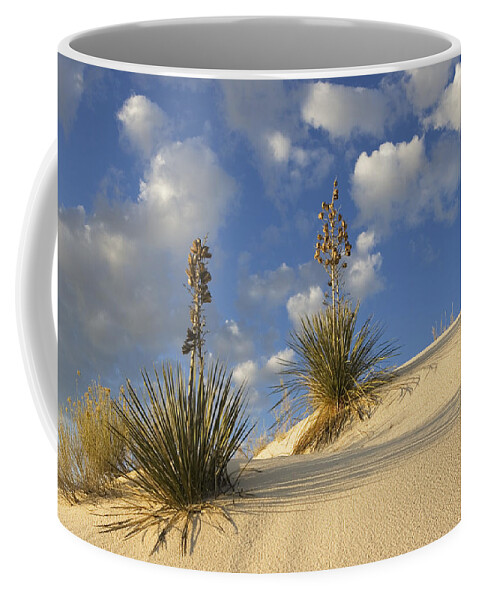 Mp Coffee Mug featuring the photograph Soaptree Yucca Yucca Elata Pair Growing by Konrad Wothe