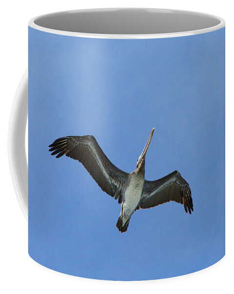 Birds Coffee Mug featuring the photograph Soaring Pelican by Randy Harris