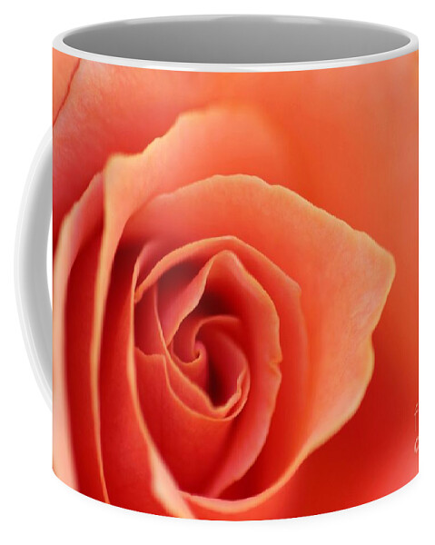 Rose Coffee Mug featuring the photograph Soft Rose Petals by Henrik Lehnerer