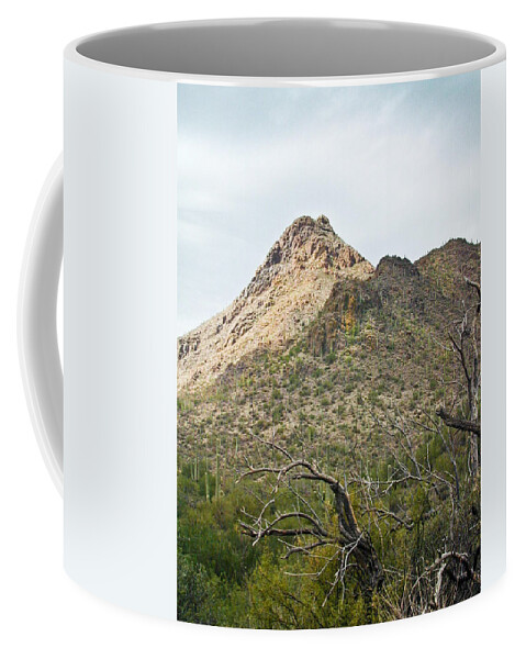Southwest Coffee Mug featuring the photograph Southwest Desert Mountain and Scrub by Douglas Barnett