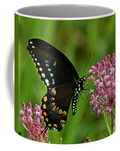 Nature Coffee Mug featuring the photograph Spicebush Swallowtail DIN039 by Gerry Gantt