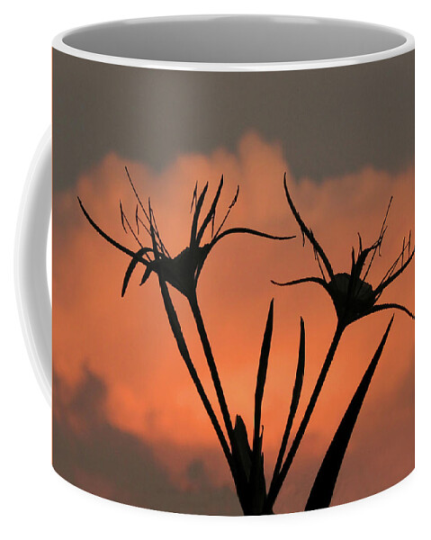 Nature Coffee Mug featuring the photograph Spider Lilies at Sunset by Peggy Urban