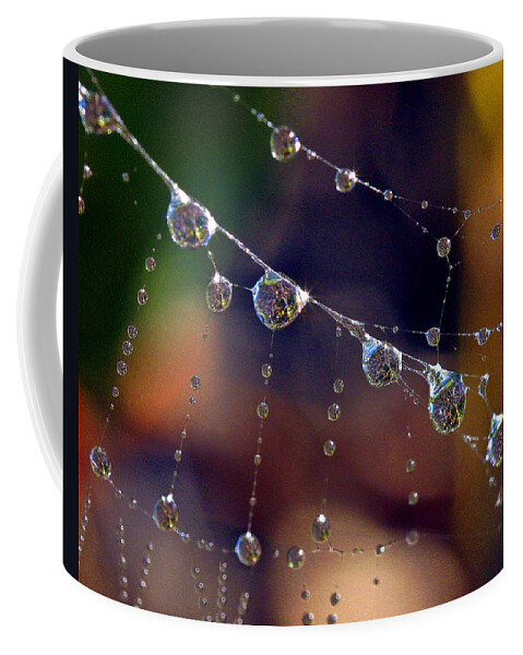 Design Coffee Mug featuring the photograph Spider web by Jean Noren