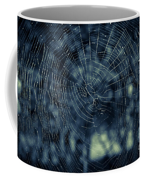Spider Coffee Mug featuring the photograph Spider Web by Matt Malloy