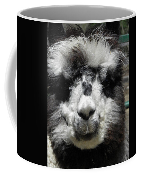 Alpaca Coffee Mug featuring the photograph Spikey by Kim Galluzzo Wozniak