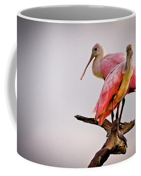 African Coffee Mug featuring the photograph Spoonbills by Debra and Dave Vanderlaan