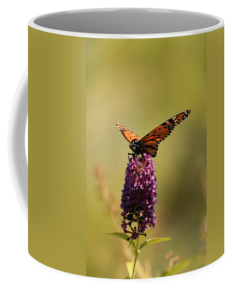 Spread Your Wings And Fly Coffee Mug featuring the photograph Spread Your Wings And Fly by Angie Tirado