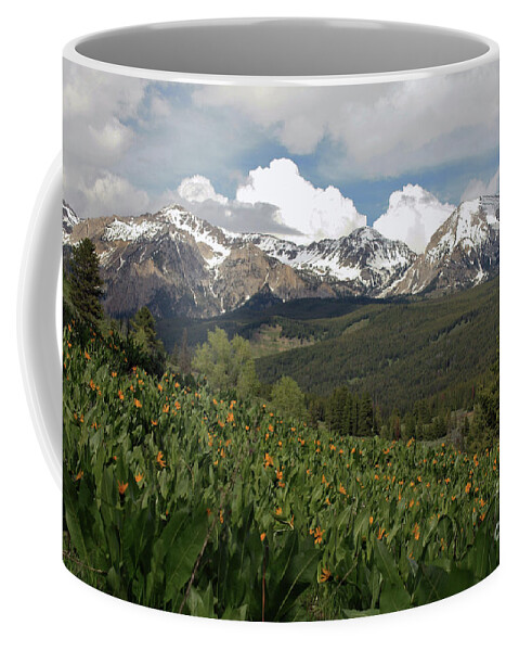 Flowers Coffee Mug featuring the photograph Spring Bloom by Edward R Wisell