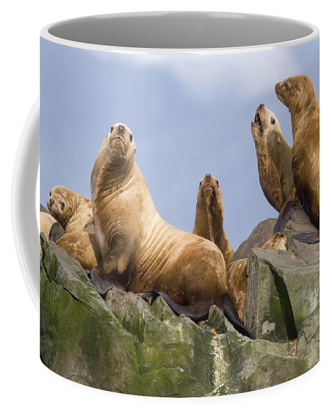 Mp Coffee Mug featuring the photograph Stellers Sea Lion Group Sunning by Flip Nicklin