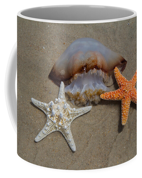 Cannonball Coffee Mug featuring the photograph Sticking Together by Betsy Knapp