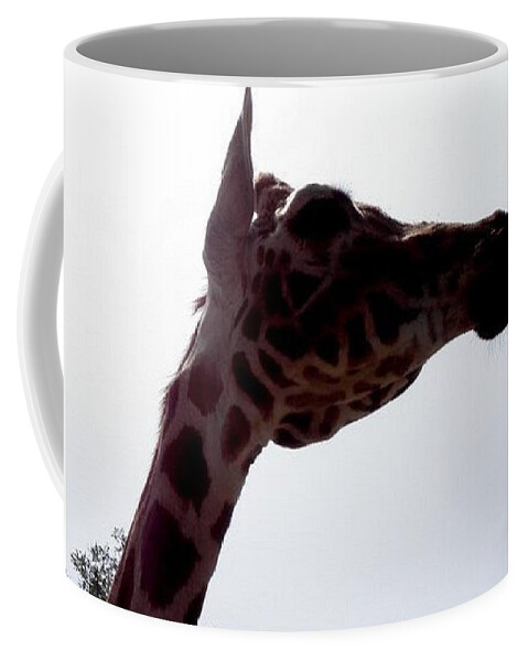 Giraffe Coffee Mug featuring the photograph Stretch by Kim Galluzzo Wozniak