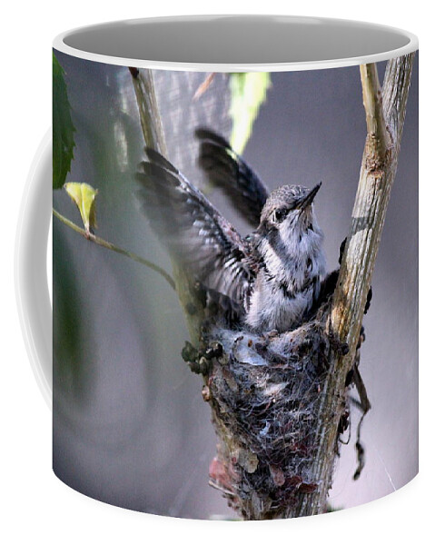 Birds Coffee Mug featuring the photograph Stretching My Wings by Jo Sheehan