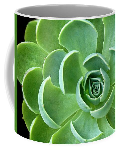 Succulent Coffee Mug featuring the photograph Succulent by Dave Mills