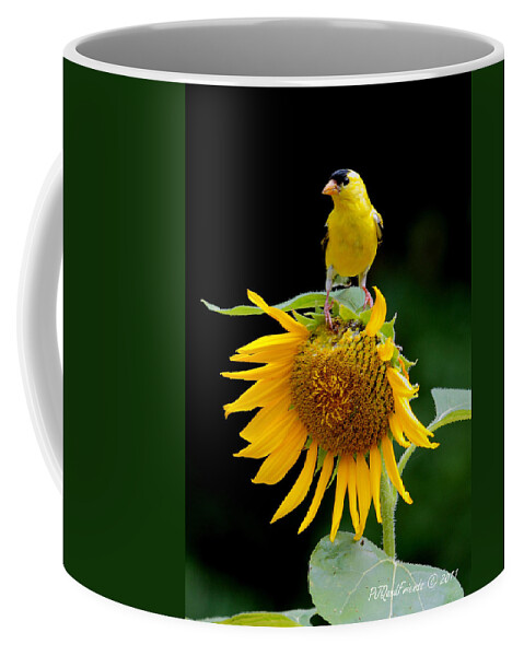  Coffee Mug featuring the photograph 'Sunflower Meets Goldfinch' by PJQandFriends Photography