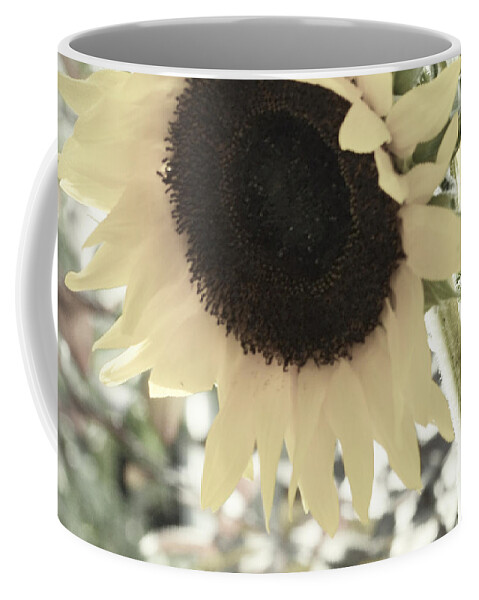 Sunflower Coffee Mug featuring the photograph Sunflower Sunset by Traci Cottingham