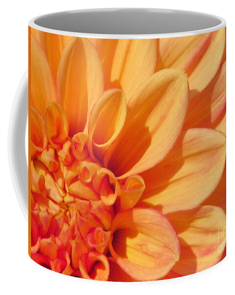 Dahlia Coffee Mug featuring the photograph Sunglow by Rory Siegel
