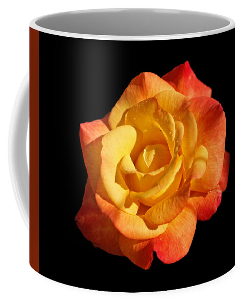 Rose Coffee Mug featuring the photograph Sunlight and Shadows by Sandy Keeton