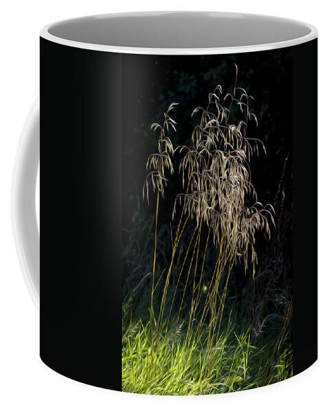 Clare Bambers Coffee Mug featuring the photograph Sunlit Grasses. by Clare Bambers