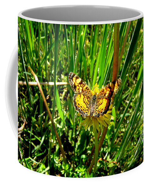 Butterfly Coffee Mug featuring the photograph Sunning On A Dandelion by Kim Galluzzo Wozniak