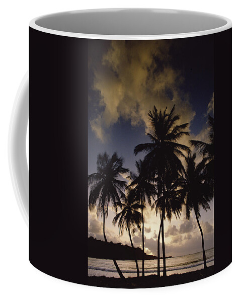 Mp Coffee Mug featuring the photograph Sunrise At La Sagesse Bay Over Marquis by Gerry Ellis