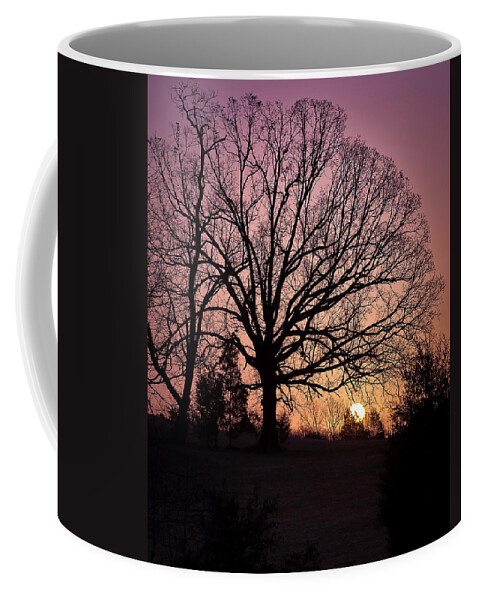 Landscape Coffee Mug featuring the photograph Sunrise Silhouette by Lori Coleman