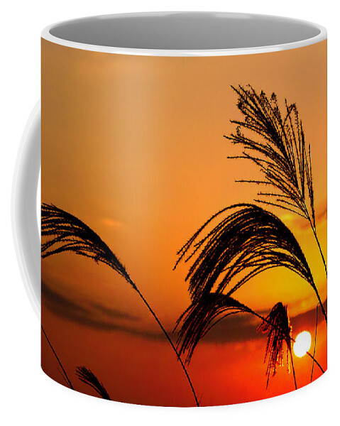 Sunset Coffee Mug featuring the photograph Sunset and pampus by Jocelyn Kahawai