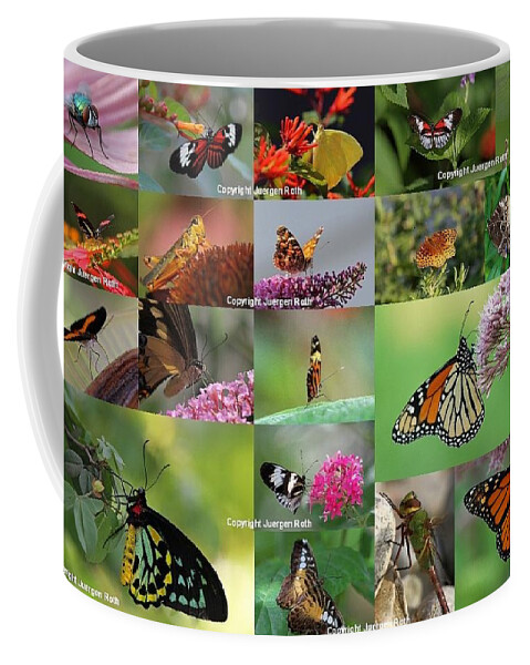 Grasshopper Coffee Mug featuring the photograph Sunshining Love Bugs by Juergen Roth