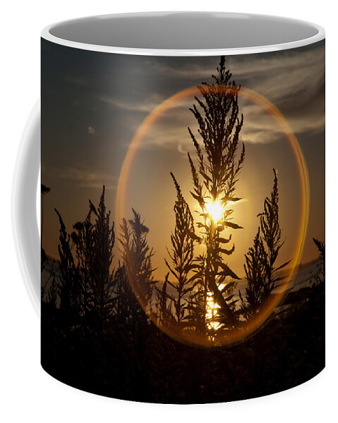 Plant Coffee Mug featuring the photograph SunStem by Monte Arnold