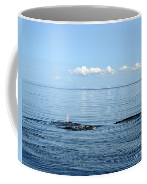 Landscape Coffee Mug featuring the photograph Surreal by Sami Martin