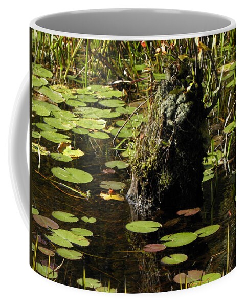 Stump Coffee Mug featuring the photograph Surrounded By Lily Pads by Kim Galluzzo