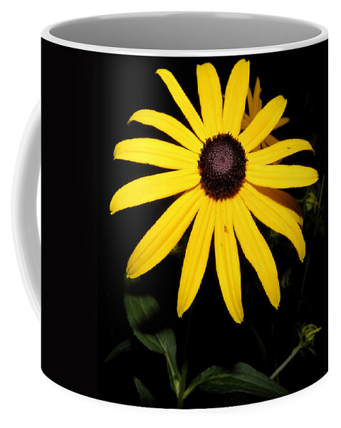 Flower Coffee Mug featuring the photograph Suzy at night by Kim Galluzzo