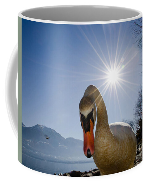 Swan Coffee Mug featuring the photograph Swan saying hello by Mats Silvan