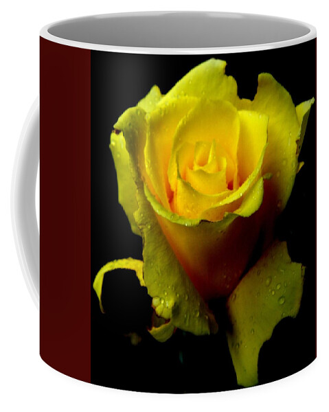 Yellow Coffee Mug featuring the photograph Swirls Of Yellow Delight by Kim Galluzzo